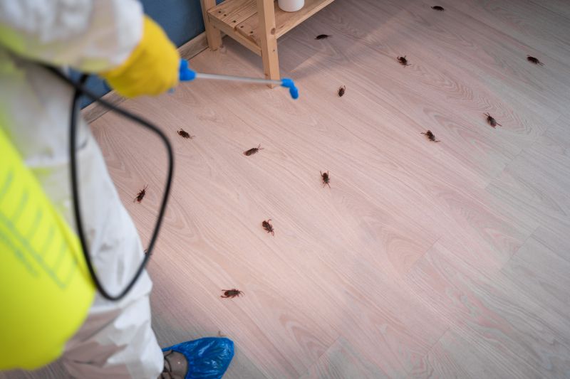 Cockroaches in Kitchen
