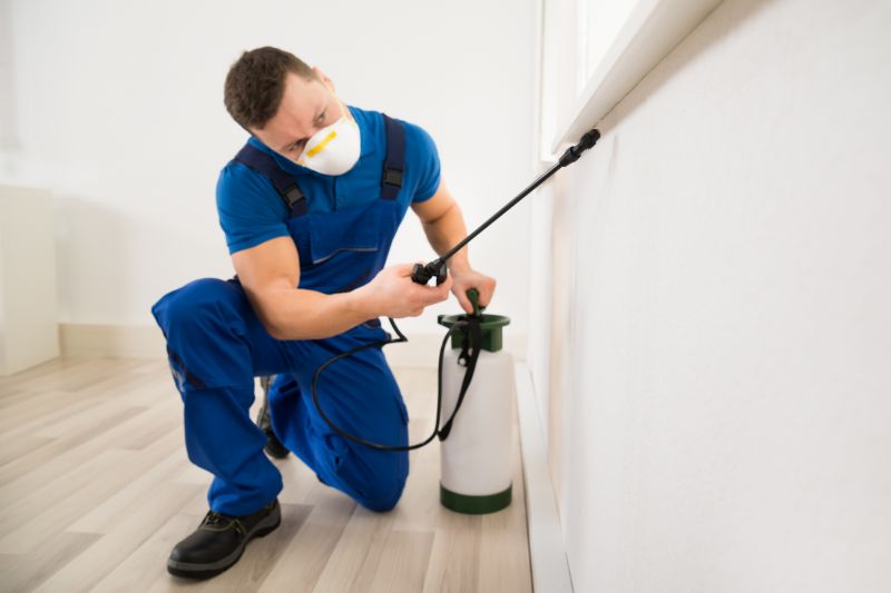 Mud Dauber Extermination in Frisco, TX