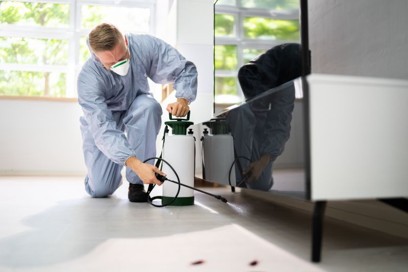 Pest Control Service in Katy, TX